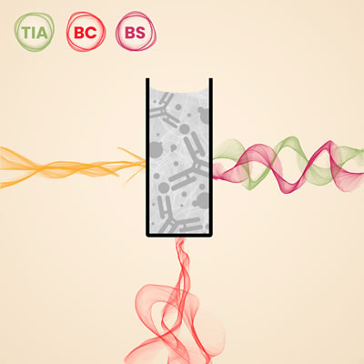 Icono Receptor Soluble de Transferrina