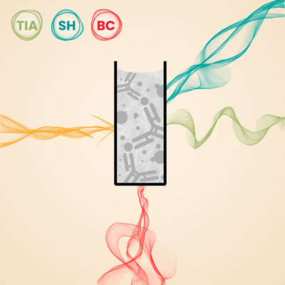 Immunoglobulin D (IgD) Icon